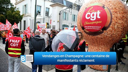 Vendanges en Champagne: une centaine de manifestants réclament