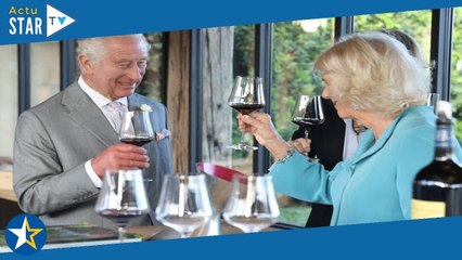 Charles III et Camilla en France  cette grande maladresse de la dame d’honneur de la reine lors de