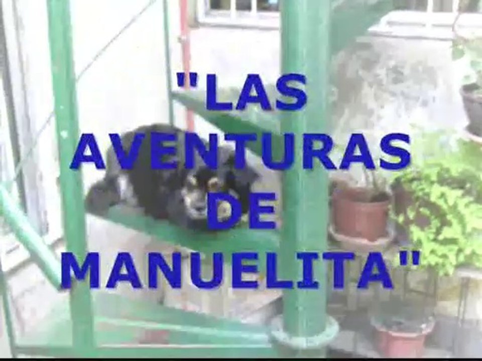 Las aventuras de manuelita
