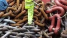 biggest oil rig chains ever