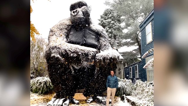 Must See! Halloween Enthusiast Turns Massachusetts Home in Spooky and Unbelievable Art Installations