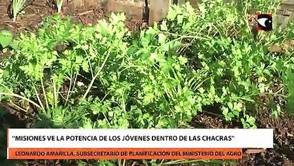 Alumnos de las EFAs misioneras participarán de la 1° Cumbre de Agricultura Sostenible de Mercosur