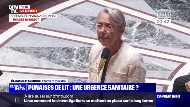 Punaises de lit: Nous sommes déterminés à agir et amplifier notre action , affirme Élisabeth Borne, en réponse à Mathilde Panot (LFI)