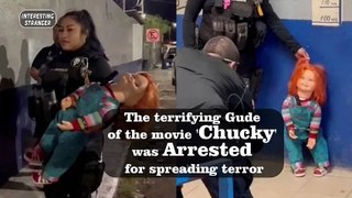 The terrifying Gude of the movie 'Chucky' was arrested for spreading terror @InterestingStranger