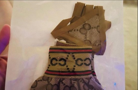 Britney Spears buys Gucci bikini for her dog