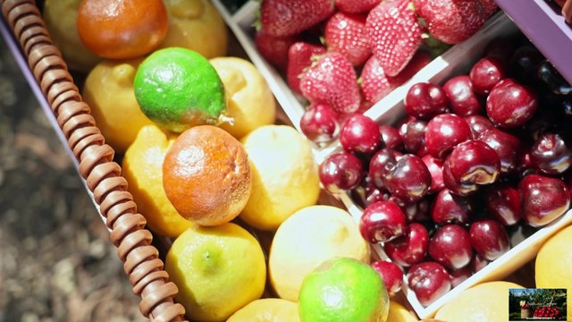 Los Beneficios de la Mora en la salud y el desarrollo