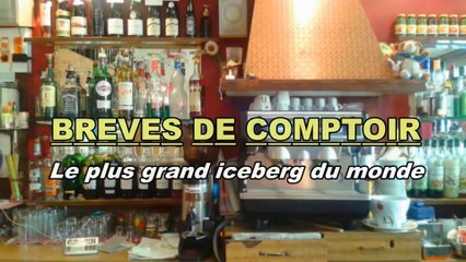 AU BISTRO - Disaprition du plus gros iceberg au monde