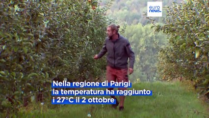 Caldo anomalo, in Francia ciliegi in fiore a ottobre