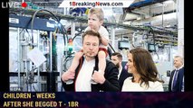 Grimes sues Elon Musk over parental rights of their three children - weeks