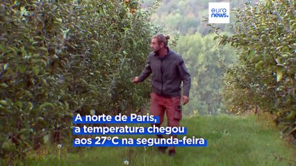 Cerejeiras em flor no outono