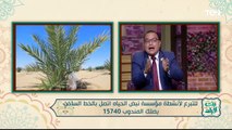 لقاء مع الدكتور مصطفى العكريشي للحديث عن أبرز جهود مؤسسة نبض الحياة | بنت البلد