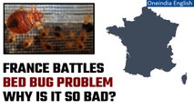 Paris: ‘Widespread’ bed bug outbreak takes over Paris during Fashion Week | Oneindia News
