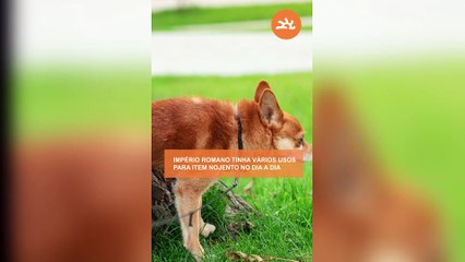 O IMPÉRIO ROMANO tinha vários usos para ITEM NOJENTO no dia a dia