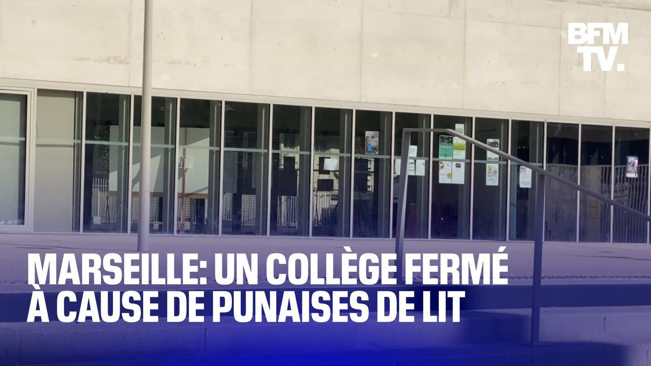 Ce collège de Marseille a été fermé jusqu'à lundi car des punaises de lit ont été aperçues dans les classes