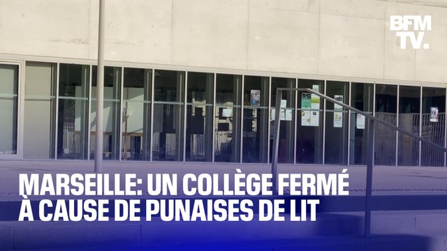 Ce collège de Marseille a été fermé jusqu'à lundi car des punaises de lit ont été aperçues dans les classes