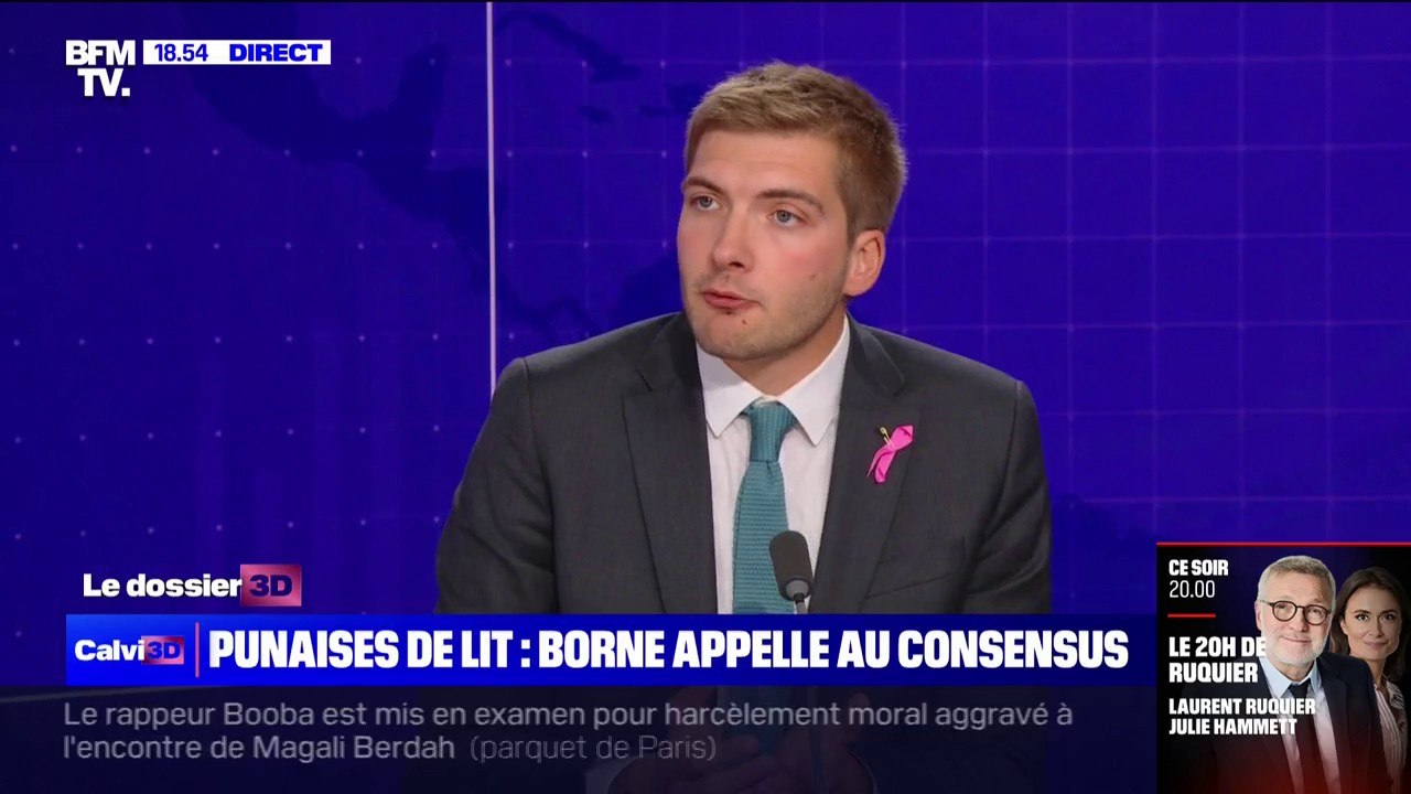 Robin Reda (Renaissance): "Le fléau des punaises de lit doit être reconnu"