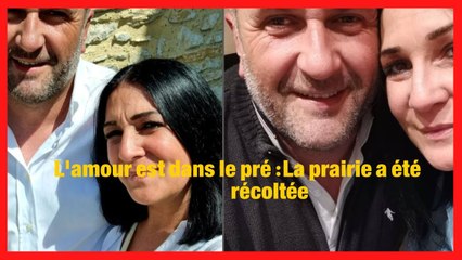 L'amour est dans le pré : un couple phare de la saison 16 s'est séparé !