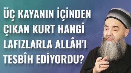 Üç Kayanın İçinden Çıkan Kurt Hangi Lafızlarla Allâh'ı Tesbîh Ediyordu?