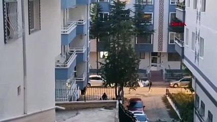 Genç kız, "Erkek arkadaşınla görüşmeyeceksin" diyen annesini bıçaklayarak öldürüp intihar etti! Geriye tek cümlelik not kaldı