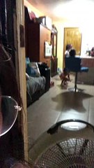 Faire tourner une chaise d’une nouvelle façon