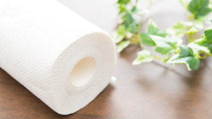 8 Clever Uses For Paper Towels