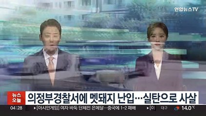 의정부경찰서에 멧돼지 난입…실탄으로 사살