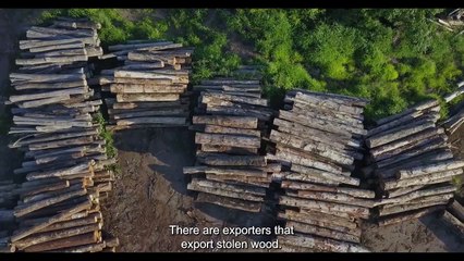 Somos Guardiões Trailer Oficial