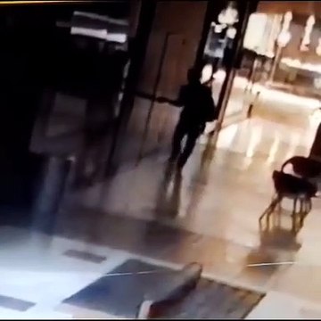 Ladrão passa a noite em shopping e furta produtos de joalheria; veja