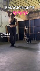 Perrito deja en 'shock' a usuarios en TikTok al bailar canción de Flashdance junto a su dueña