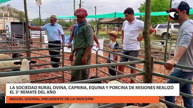 La sociedad rural ovina, caprina, equina y porcina de Misiones realizó el 3° remate del año