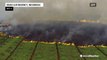 Wildfires burn in Indonesia, create hazardous haze