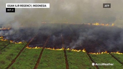 Wildfires burn in Indonesia, create hazardous haze