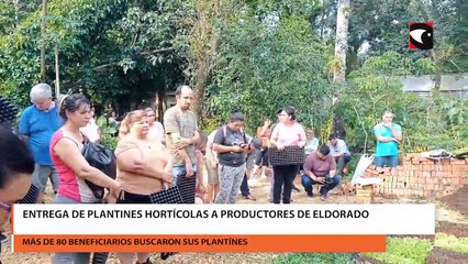Entrega de plantines hortícolas a productores de Eldorado