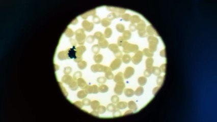 It Be an Evil Moon | movie | 2023 | Official Trailer