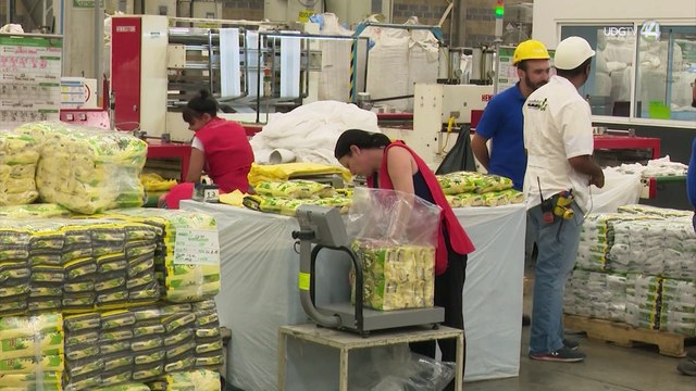 Jalisco debe priorizar calidad del empleo para afrontar déficit de mano de obra, concluye académico