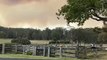 Farmer evacuates horses as NSW bushfire threatens Bega Valley property