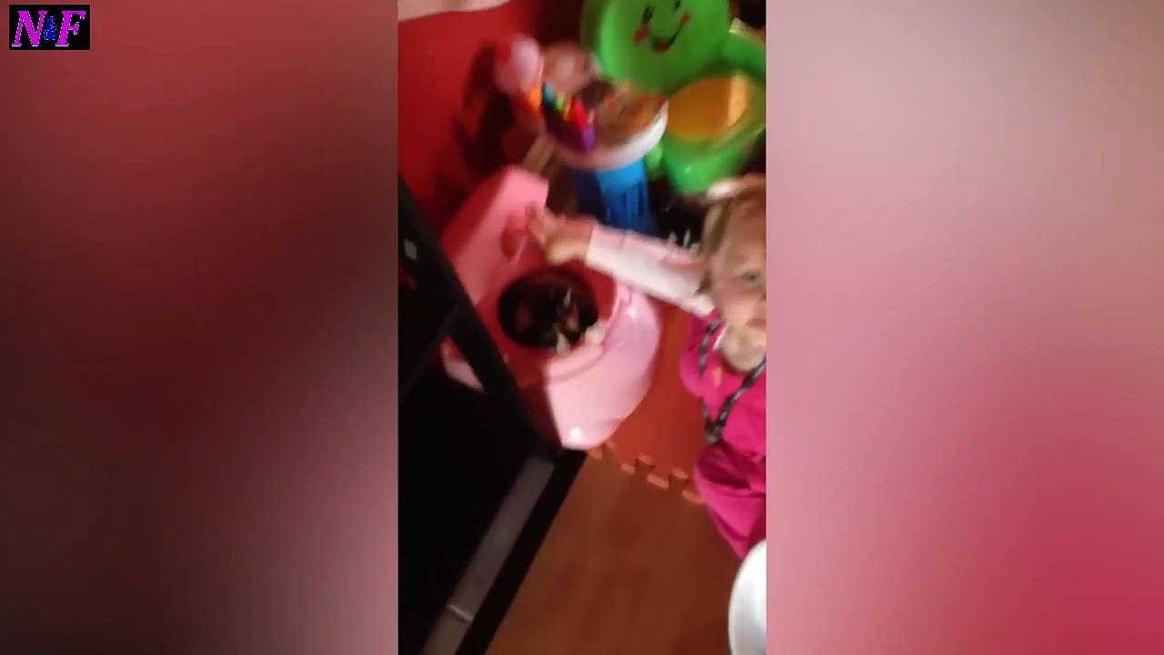 Funniest Cats Videos, The Siliest, Cutest And Funniest Cats 15