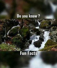 Understanding Sexual Frequency in Nature 🌿