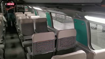 Punaises de lit : inquiétude des usagers des transports en commun