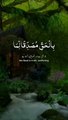 Beautiful Quran Tilawat | Recitation | Islamic | Relaxing
