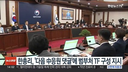 한총리, '다음 中응원 댓글'에 범부처 TF 구성 지시
