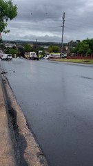Cars collide at Wagga intersection