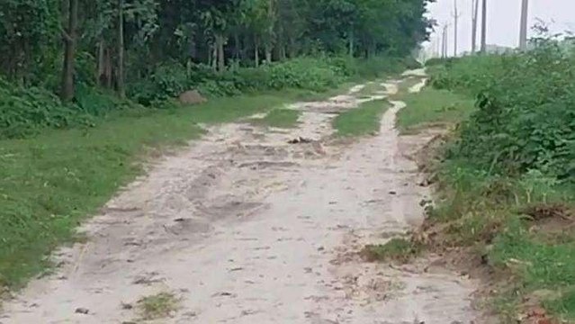 अररिया: 70 के दशक में बनी सड़क, आज बदहाली के आंसू बहा रहा यह रोड, देखें ये खास रिपोर्ट