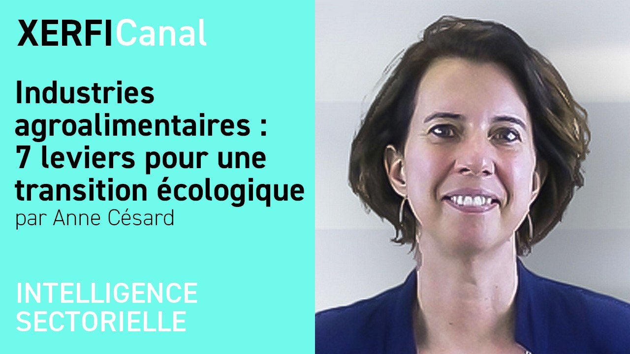 Industries agroalimentaires : 7 leviers pour une transition écologique [Anne Césard]