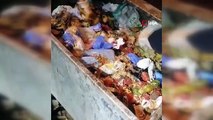 Çöpe atılan yavru kediler, belediye temizlik personelinin dikkati sayesinde kurtuldu