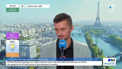 Un cygne perturbe le trafic du RER A