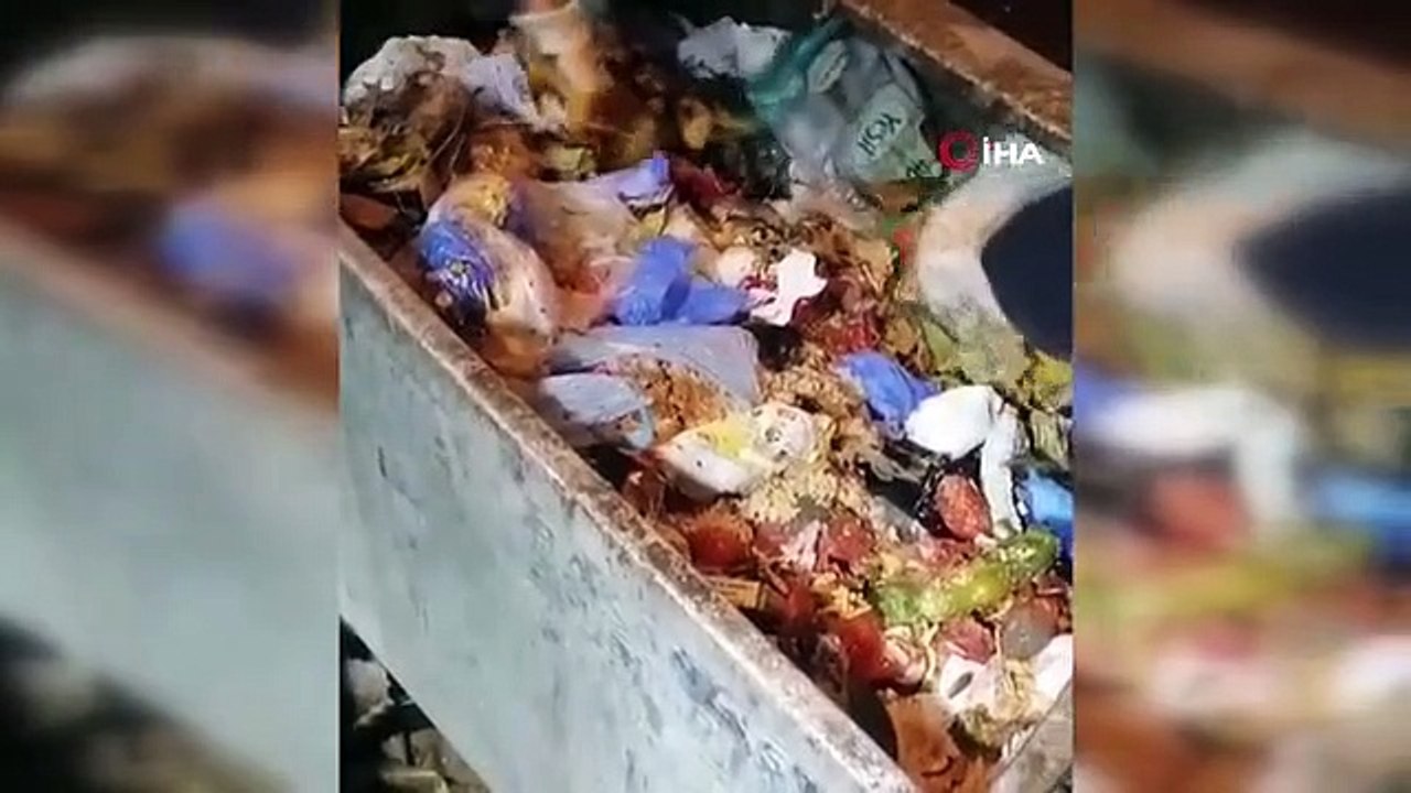Des chatons jetés à la poubelle ont été sauvés grâce à l'attention du personnel de nettoyage municipal.