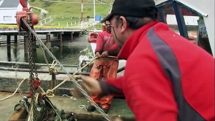 Amazing Quest - Stories from Chile - Somewhere on Earth