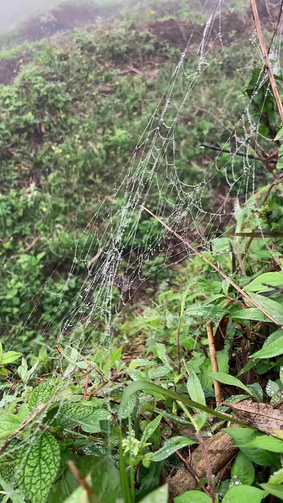 Sapa, Lao Cai, Vietnam