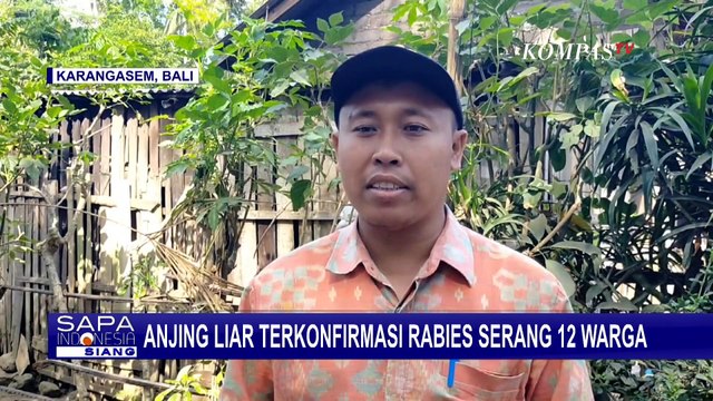 Antisipasi Merebaknya Rabies, Petugas Puskeswan Vaksin Anjing-Anjing di Karangasem